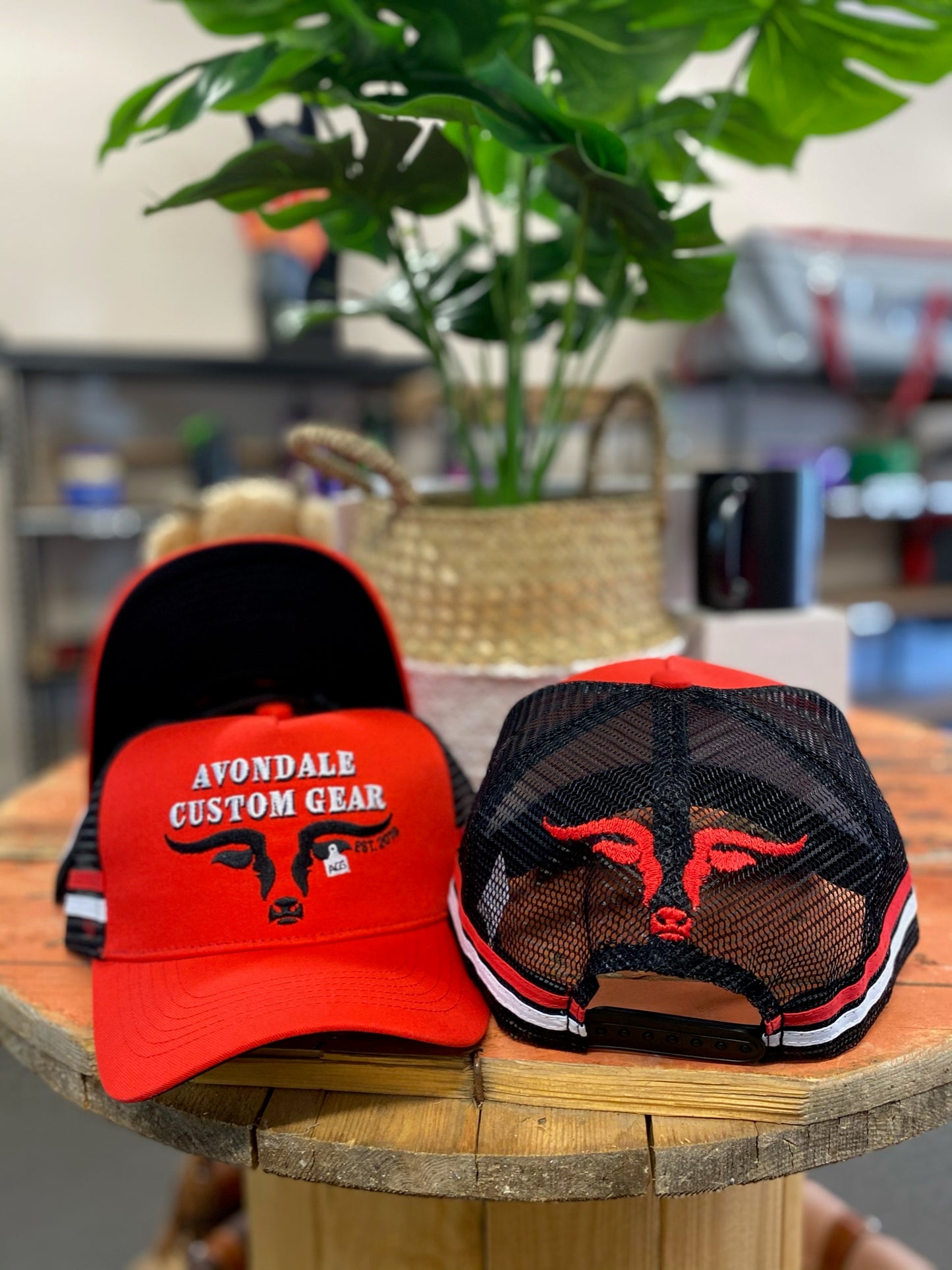 Longhorns ACG Cap